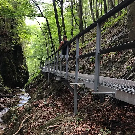 Апартаменты Podhorsky